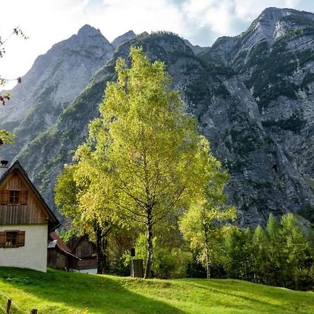 Cottages Kravanja Trenta Exterior photo