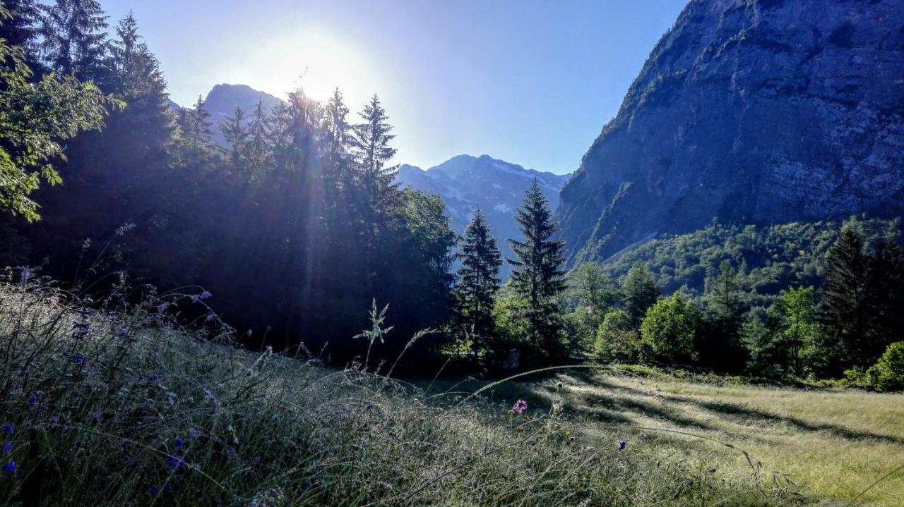 Cottages Kravanja Trenta Exterior photo